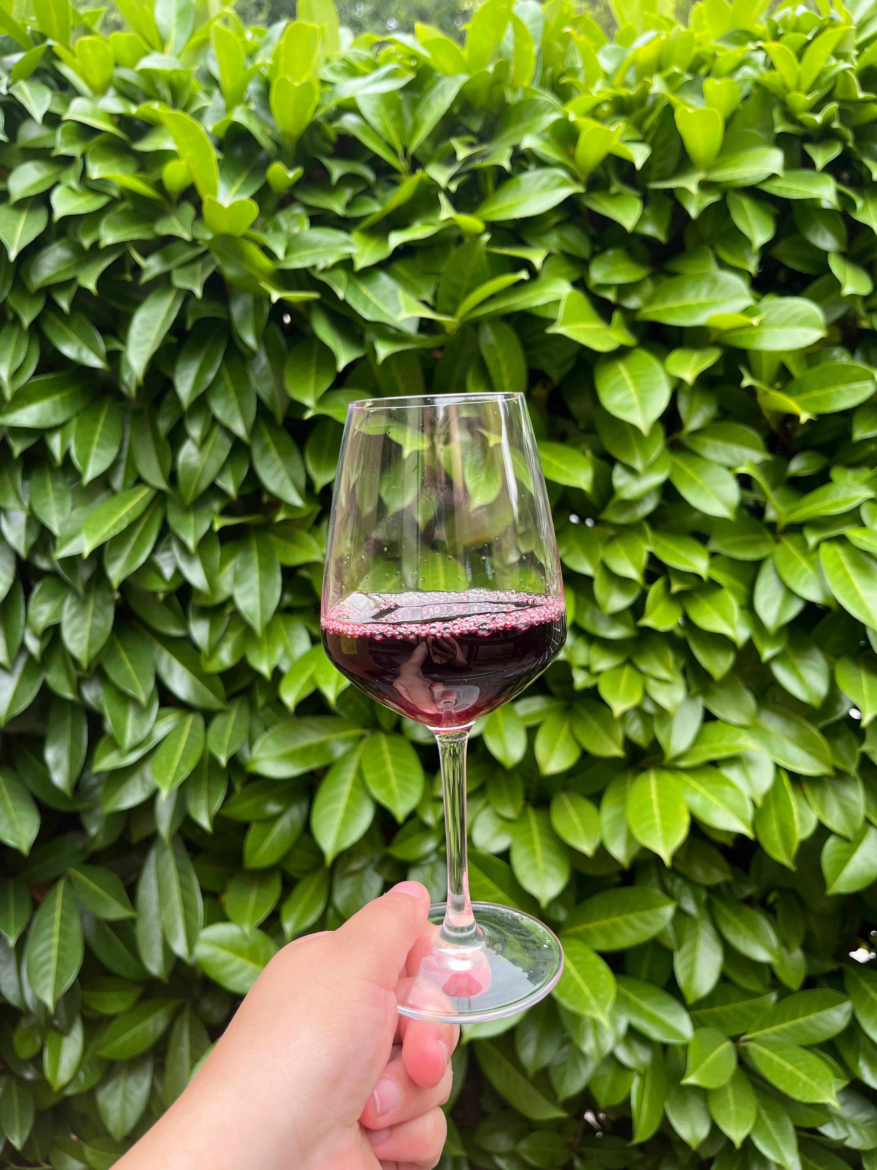 Verre à Vin