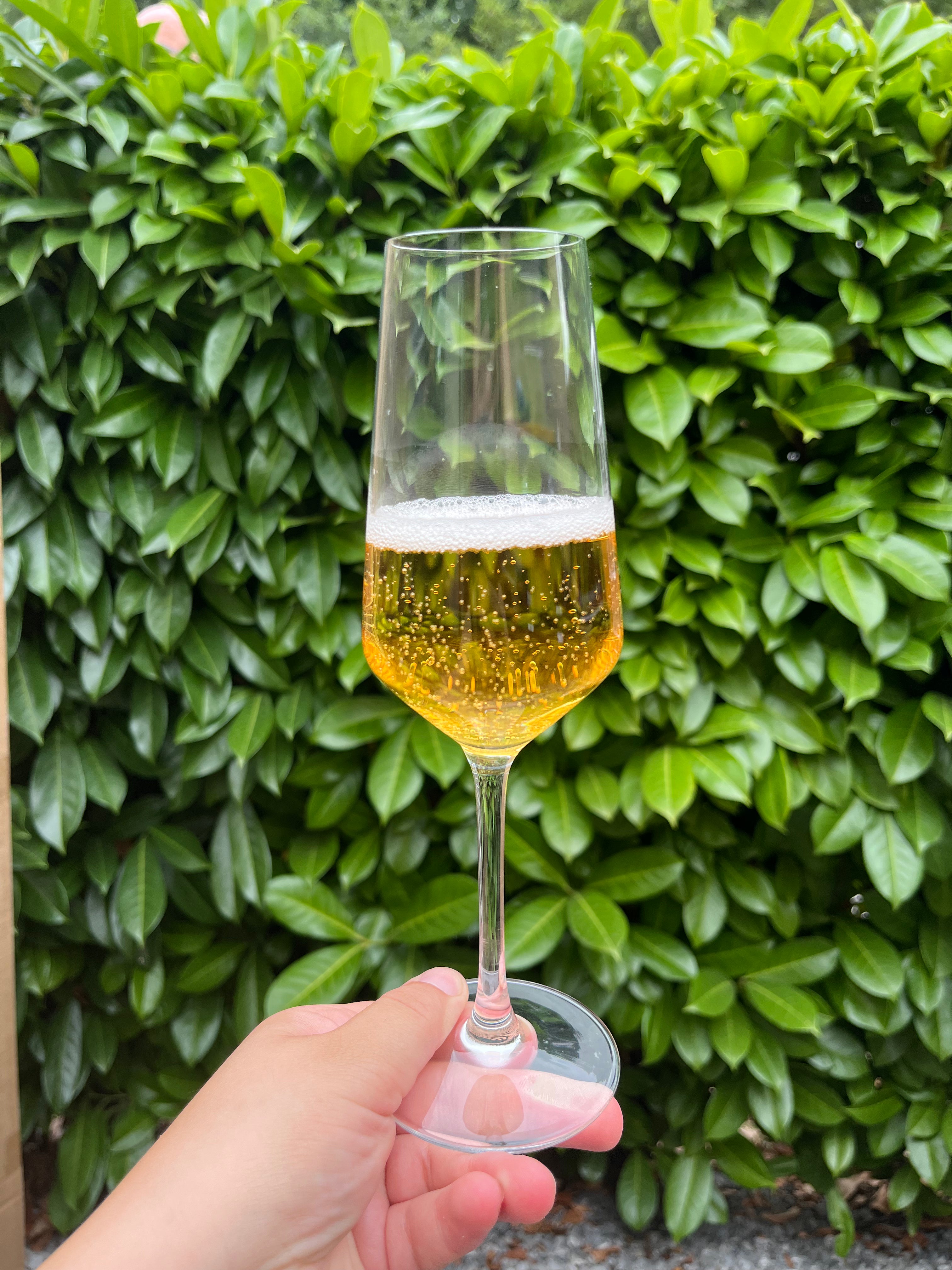 Flûte à champagne