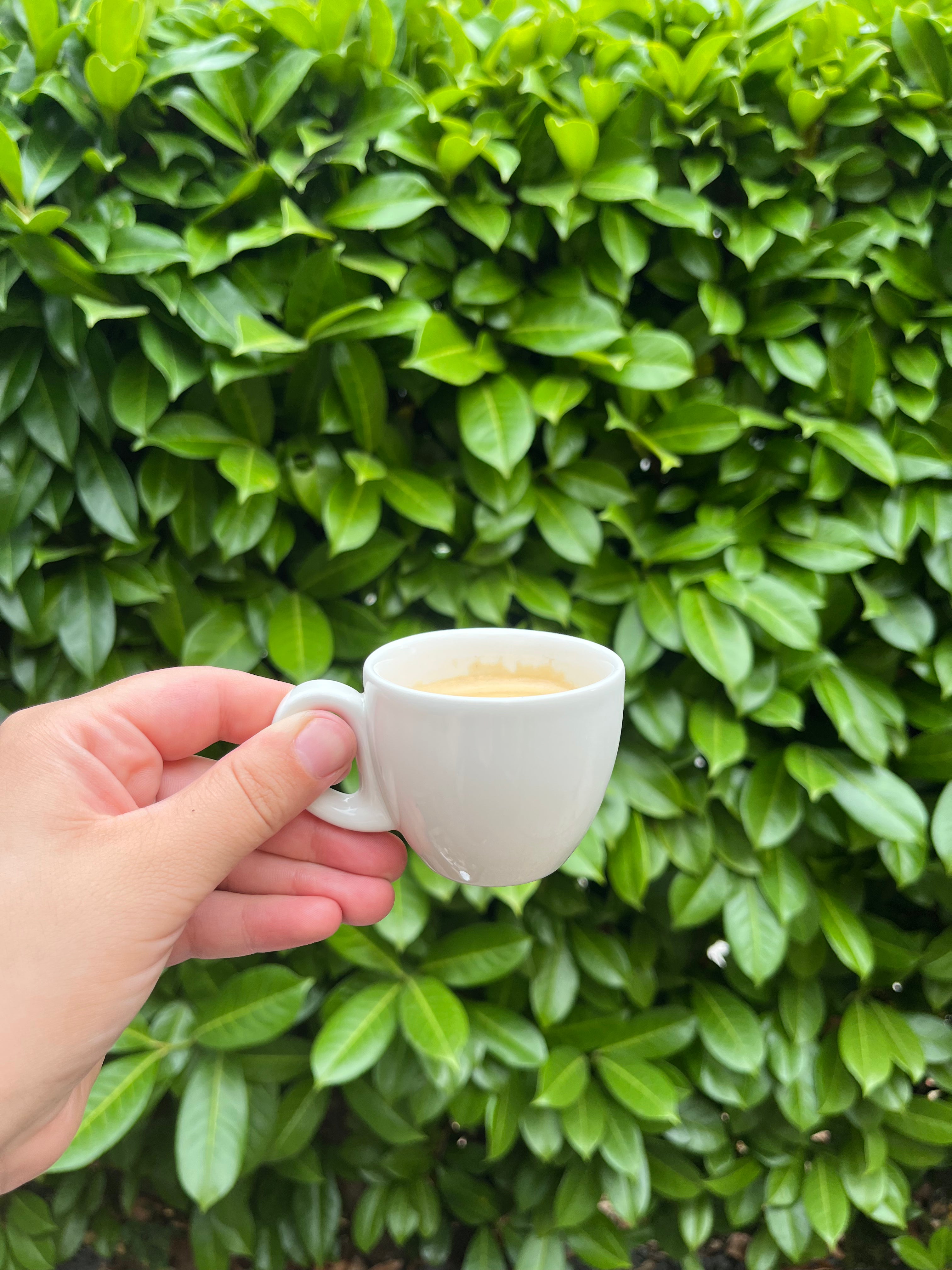 Tasse à café